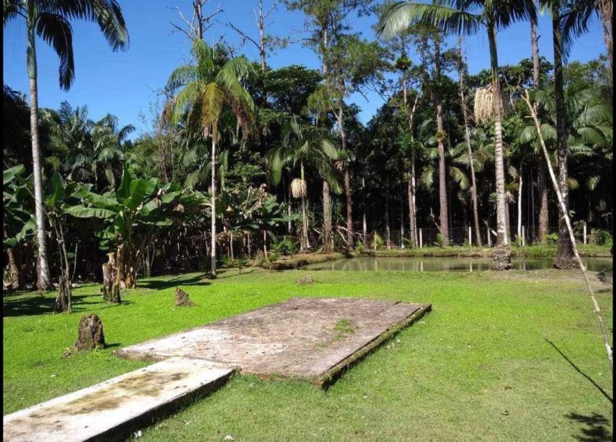 Chácara - Venda - Alexandra - Paranaguá - PR